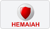 HEMAIAH SECURITY